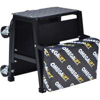 2-in-1 Seat-Stool Combo Equipment World