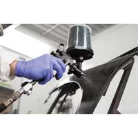 Performance Fine Finish Spray Gun System with PPS Cups, 13 CFM, 29 PSI Equipment World
