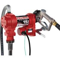 12V DC Fuel Transfer Pump with Nozzle Equipment World