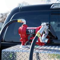 12V DC Fuel Transfer Pump with Nozzle Equipment World