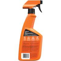 Multi-Purpose Auto Cleaner, 16 oz./473 ml, Trigger Bottle Equipment World