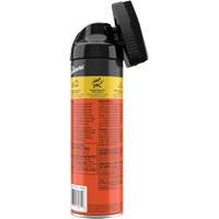 Carpet & Upholstery Cleaner Equipment World