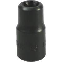 E-8 Torx&reg; Socket Equipment World