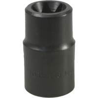 E-18 Torx&reg; Socket Equipment World