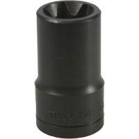E-20 Torx&reg; Socket Equipment World