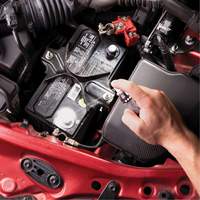 Battery Corrosion Preventative & Cleaner Kit Equipment World