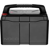 Group 31 120Ah Lithium-Ion LiFePO4 Dual-Purpose Battery Equipment World