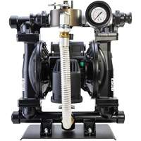 Calcium Chloride Liquid Transfer Pump Equipment World