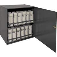 Aerosol Storage Cabinet, Steel, 21-7/8" H x 15-15/16" W x 20-5/16" D, Grey Equipment World