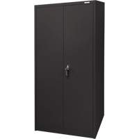 Armoire d'entreposage, Acier, 4 Tablettes, 66" h x 30" la x 15" P, Noir Equipment World