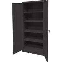 Armoire d'entreposage, Acier, 4 Tablettes, 66" h x 30" la x 15" P, Noir Equipment World