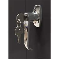 Armoire d'entreposage, Acier, 4 Tablettes, 66" h x 30" la x 15" P, Noir Equipment World