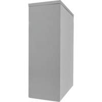 Armoire de rangement &agrave; hauteur de comptoir, Acier, 2 Tablettes, 42" h x 30" la x 15" P, Gris Equipment World