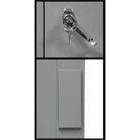 Armoire de rangement &agrave; hauteur de comptoir, Acier, 2 Tablettes, 42" h x 30" la x 15" P, Gris Equipment World