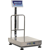 Cyclone 300 Bench and Platform Scale, 600 lbs. / 300 kg Capacity, 17-3/4" L x 23-3/5" W Equipment World