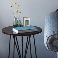 Indoor/Outdoor Wireless Thermometer, Non-Contact, Analogue, 31-158°F (-35-70°C) Equipment World