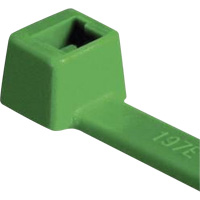 Attaches pour c&acirc;ble PA66 homologu&eacute;es UL, Longueur 4", R&eacute;sistance &agrave; la traction 18 lb, Vert Equipment World