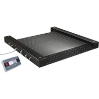 Defender 2500 Drum Scale, 500 lbs. Capacity, 2.5' L x 2.5' W Equipment World