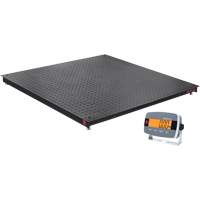 DEFENDER 3000 Floor Scale, 2500 lbs. Capacity, 48" W x 48" L Equipment World