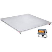 DEFENDER 3000 Floor Scale, 2500 lbs. Capacity, 48" W x 48" L Equipment World