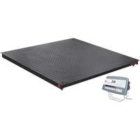 DEFENDER 5000 Floor Scale, 2500 lbs. Capacity, 48" W x 48" L Equipment World