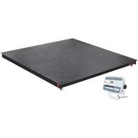 DEFENDER 5000 Floor Scale, 5000 lbs. Capacity, 48" W x 48" L Equipment World