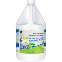 Multi-Purpose Concentrated Bathroom Cleaner, 4 L, Jug JC004 | Equipment World