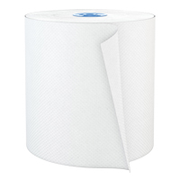 Pro Perform Roll Hand Towels, 1 Ply, Standard, 775' L Equipment World