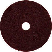 Tampons pour l'entretien des planchers, 17", D&eacute;capant, Brun Equipment World