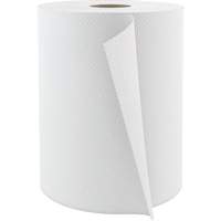 Pro Select Hardwound Hand Towels, 1 Ply, Standard, 600' L Equipment World