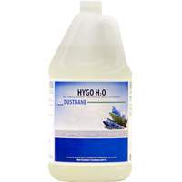 Hygo H2O Dust Control Treatment, 4 L, Jug Equipment World