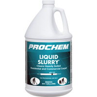 D&eacute;tergent pour tapis Prochem Liquid Slurry, 1 gal., Cruche Equipment World