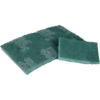 Scrubber Pad, 3" L x 4-1/2" W Equipment World