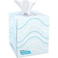 Pro Signature Facial Tissue, 2 Ply, 8" L x 8" W, 90 Sheets/Box Equipment World