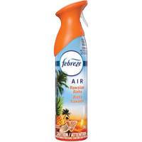 Assainisseur d'air, Aloha Hawaien, Canette a&eacute;rosol Equipment World