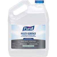 Professional Multi-Surface Sanitizer & Disinfectant, 3.78 L, Jug Equipment World