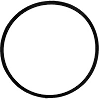 Replacement Brush Drive Belt Equipment World