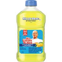 Antibacterial All-Purpose Cleaner, Bottle JL064 | Equipment World