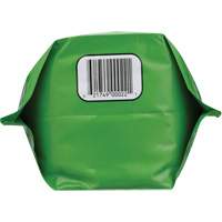 Biodegradable Hand Cleaner, Powder, 4.5 lbs., Packet, Unscented Equipment World