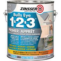 Appr&ecirc;t &agrave; base d'eau Bulls Eye 1-2-3, 3,78 L, Gallon, Gris Equipment World