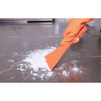 Large Hand Scraper, Pink, 4" W x 10" L Equipment World