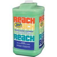 Reach Extra Heavy-Duty Hand Cleaner, Pumice, 3.78 L, Jug, Scented Equipment World