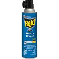 Insecticide contre les gu&ecirc;pes et les frelons Raid, 400 g, &agrave; base de solvant Equipment World