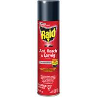 Insecticide contre fourmis, coquerelles et perce-oreilles Raid, 350 g, &agrave; base de solvant Equipment World