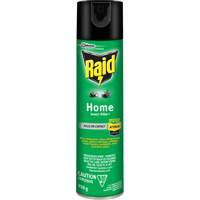 Insecticide pour insectes domestiques Raid, 350 g, &agrave; base de solvant Equipment World