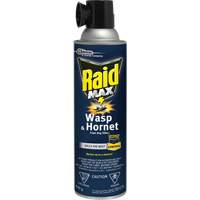 Mousse insecticide contre les gu&ecirc;pes et les frelons Raid Max, 500 g, Canette a&eacute;rosol, &agrave; base de solvant Equipment World