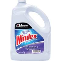 Windex&reg; Non-Ammoniated Multi-Surface Cleaner, 3.8 L, Jug Equipment World