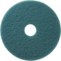 Tampons &agrave; polir pour planchers Aqua, 19", Brunissage, Aqua Equipment World