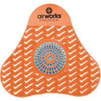 Tamis d'urinoir avec bloc d&eacute;sodorisant AirWorks Equipment World