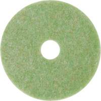 Tampon de m&eacute;lange naturel, 12", &agrave; r&eacute;curer, Vert Equipment World